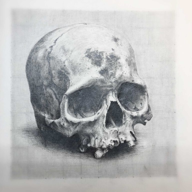 Skull drawing exercise